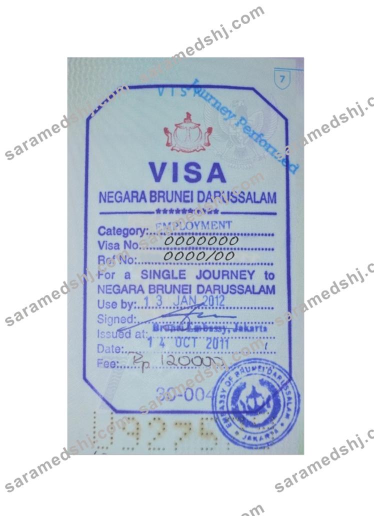 BRUNEI stamp visa